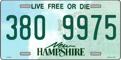 NH license plate 3809975