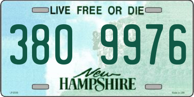 NH license plate 3809976