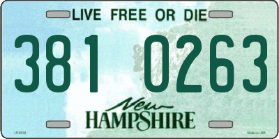 NH license plate 3810263