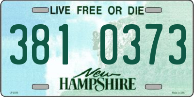 NH license plate 3810373
