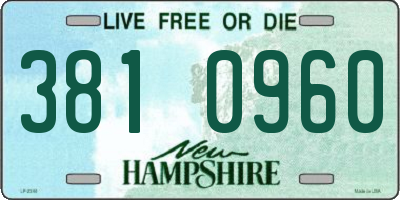 NH license plate 3810960