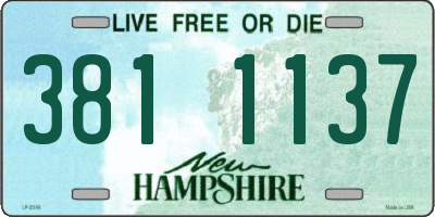 NH license plate 3811137