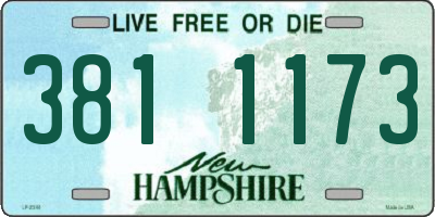 NH license plate 3811173