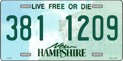 NH license plate 3811209