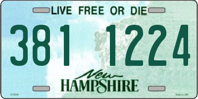 NH license plate 3811224