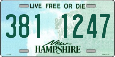 NH license plate 3811247
