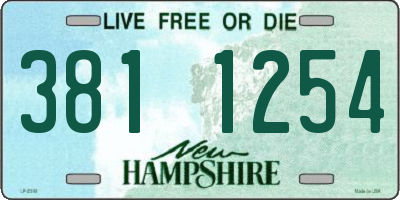 NH license plate 3811254