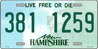 NH license plate 3811259
