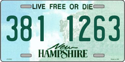NH license plate 3811263