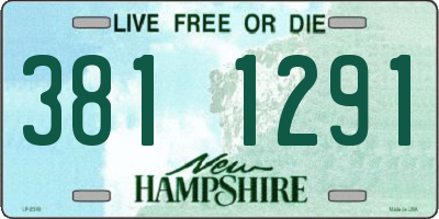 NH license plate 3811291