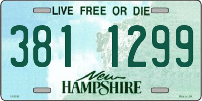 NH license plate 3811299