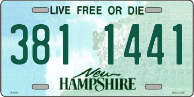 NH license plate 3811441