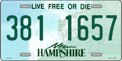 NH license plate 3811657