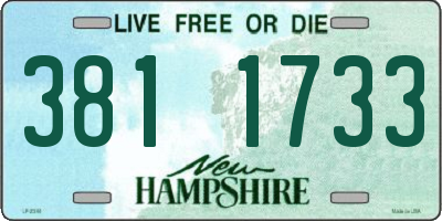 NH license plate 3811733
