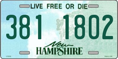 NH license plate 3811802