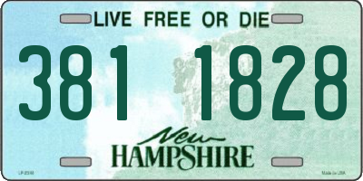 NH license plate 3811828