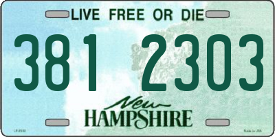 NH license plate 3812303