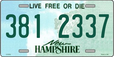 NH license plate 3812337