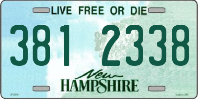 NH license plate 3812338
