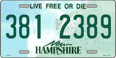 NH license plate 3812389