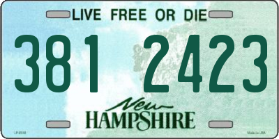 NH license plate 3812423