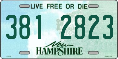 NH license plate 3812823