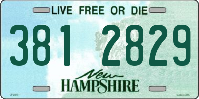 NH license plate 3812829