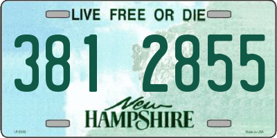 NH license plate 3812855