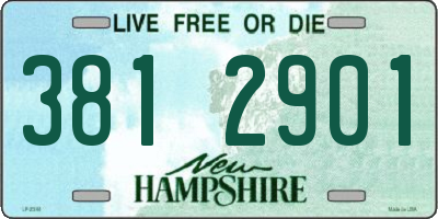 NH license plate 3812901