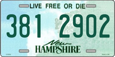 NH license plate 3812902