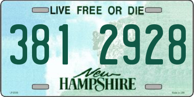 NH license plate 3812928