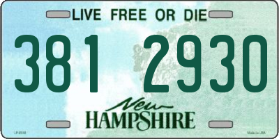 NH license plate 3812930