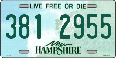 NH license plate 3812955