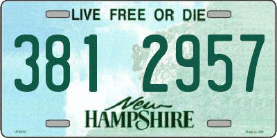 NH license plate 3812957