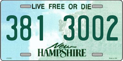 NH license plate 3813002