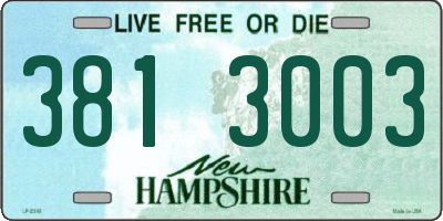 NH license plate 3813003