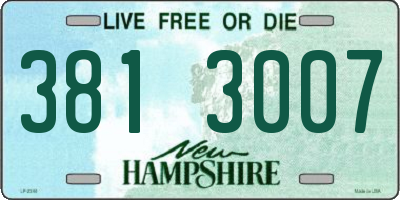 NH license plate 3813007