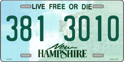 NH license plate 3813010