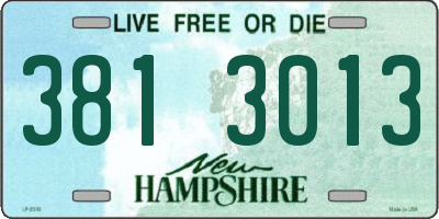 NH license plate 3813013