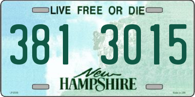 NH license plate 3813015