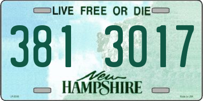 NH license plate 3813017