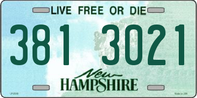 NH license plate 3813021