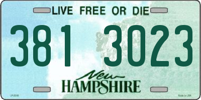 NH license plate 3813023