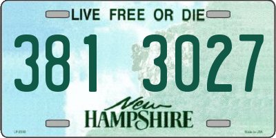 NH license plate 3813027