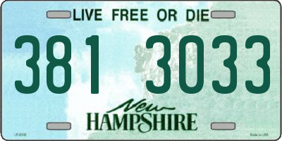 NH license plate 3813033