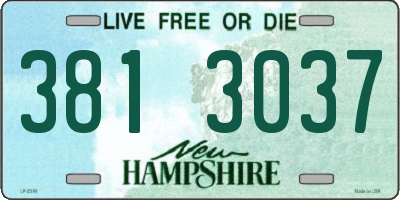 NH license plate 3813037