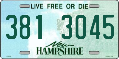 NH license plate 3813045