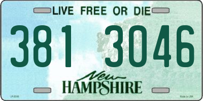 NH license plate 3813046