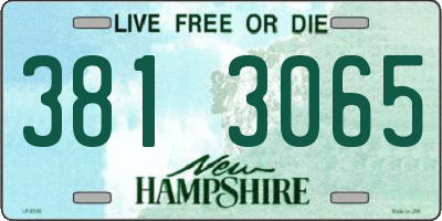 NH license plate 3813065