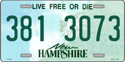 NH license plate 3813073